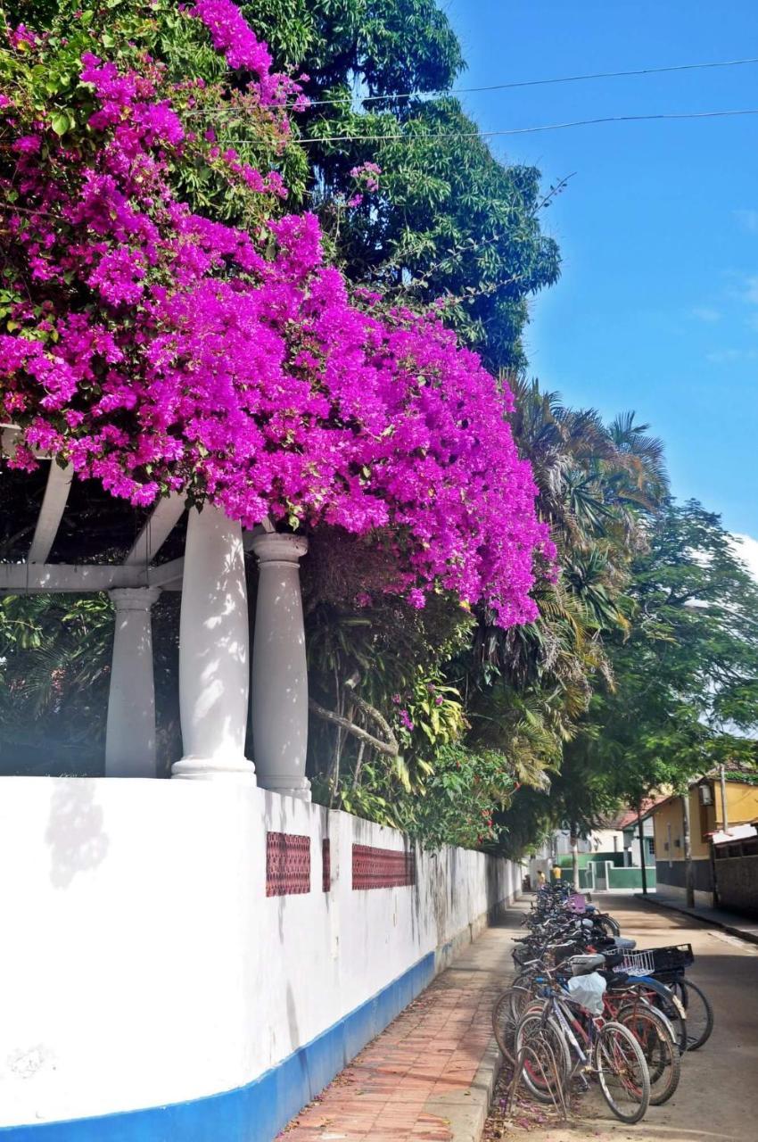 Casa Da Coruja Acomodação com café da manhã  *